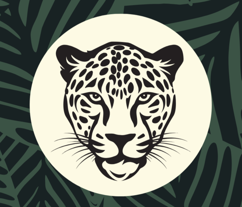 Panthera Collective